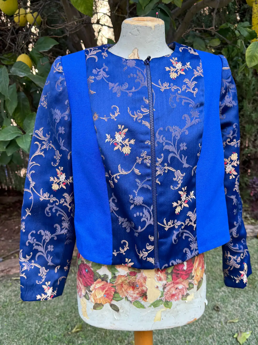 עליונית כחולה