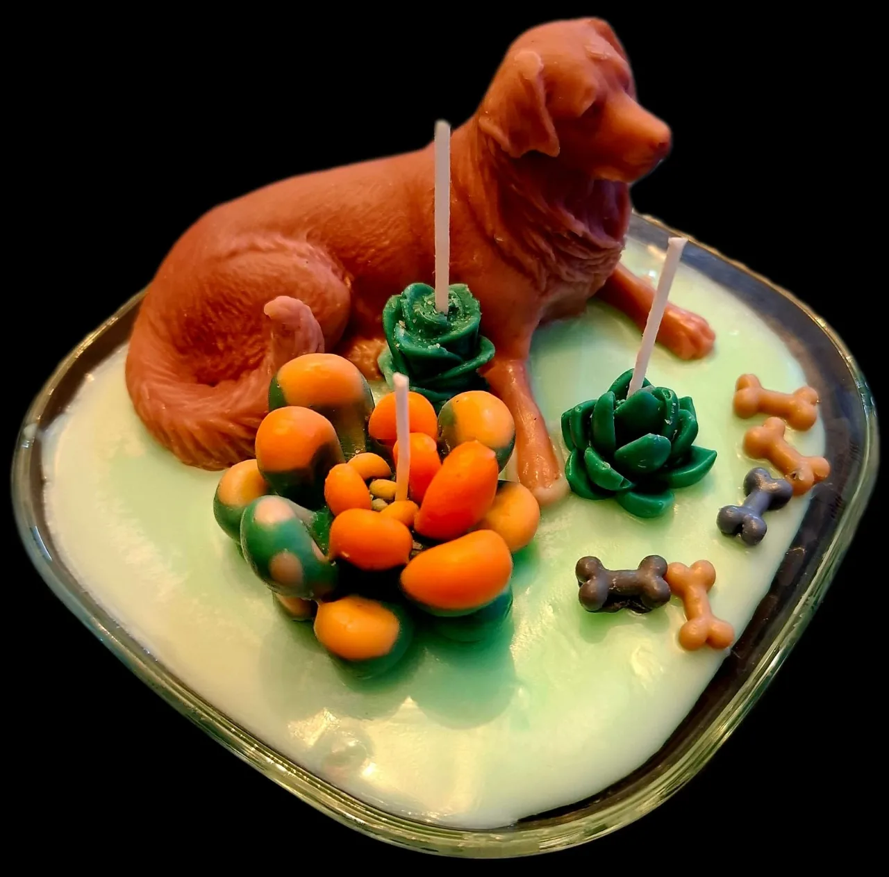 אהבה עם זנב