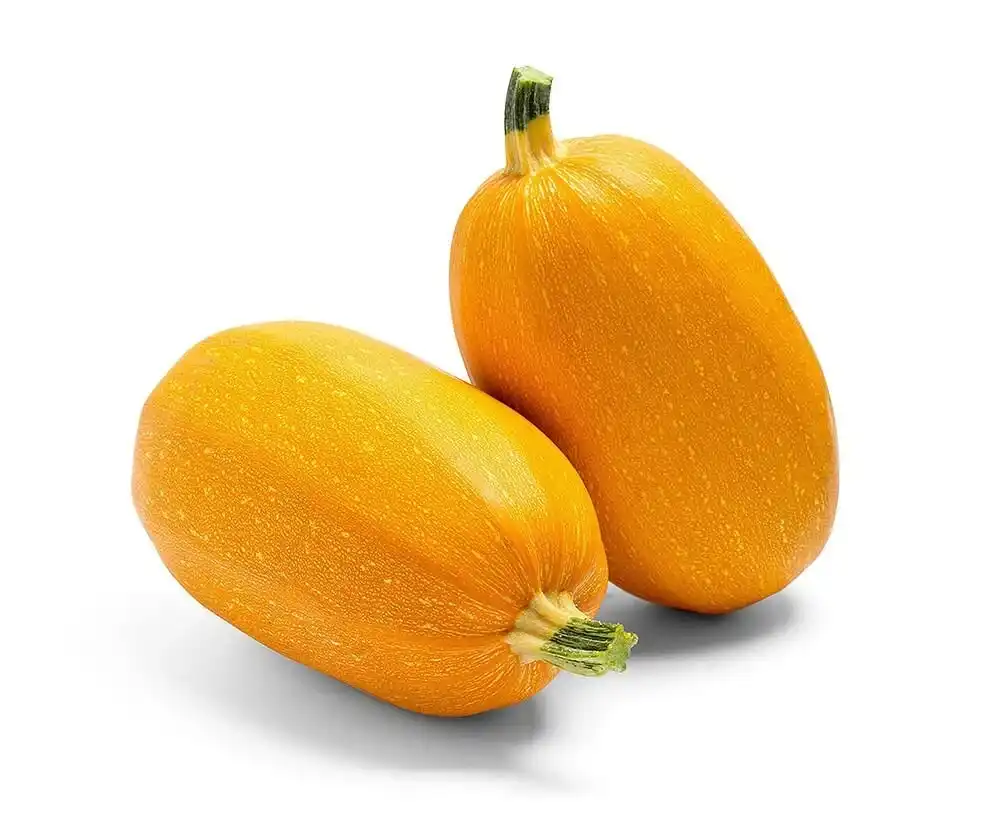 דלעת ספגטי - 1 יח'