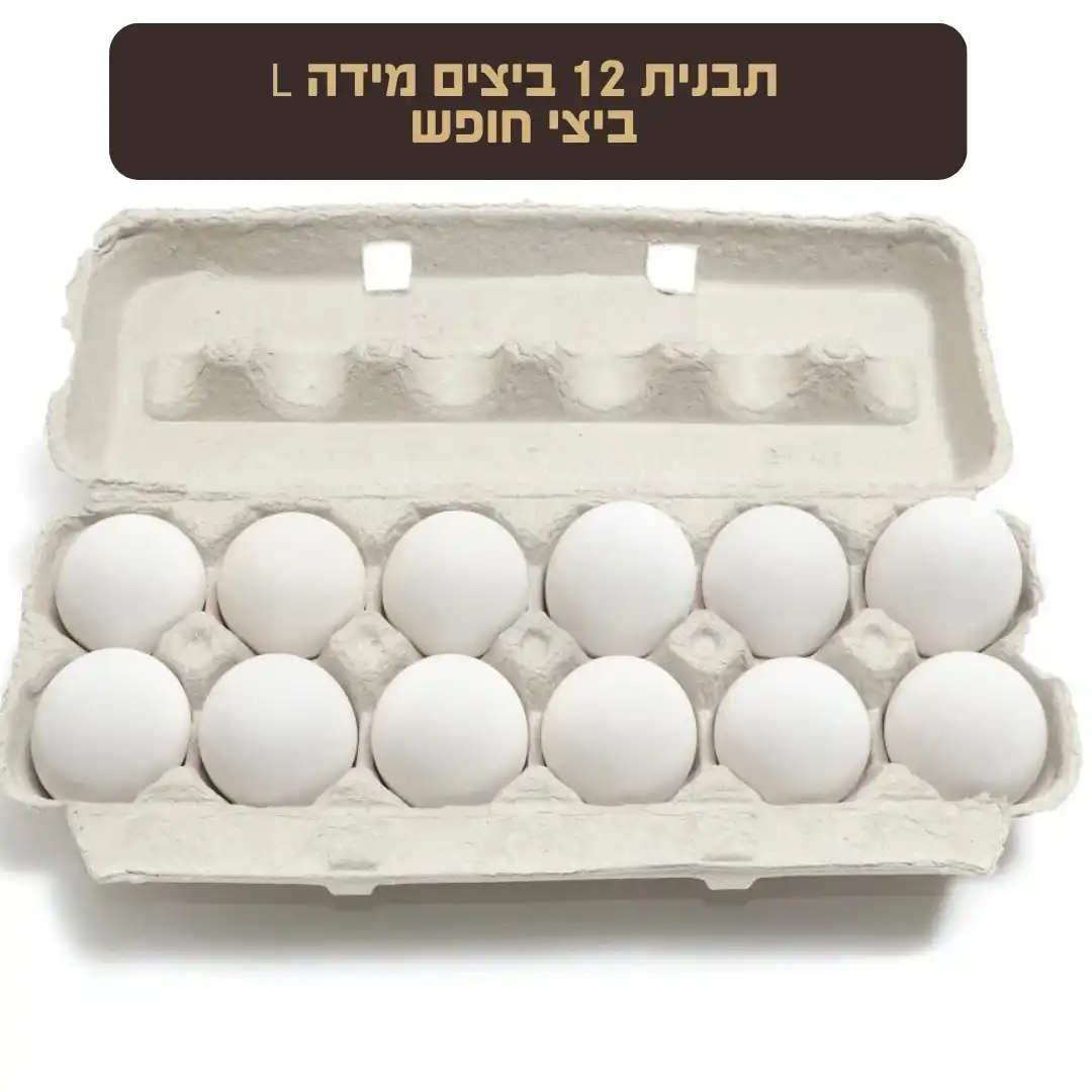 תבנית 12 ביצים מידה L - ביצי חופש