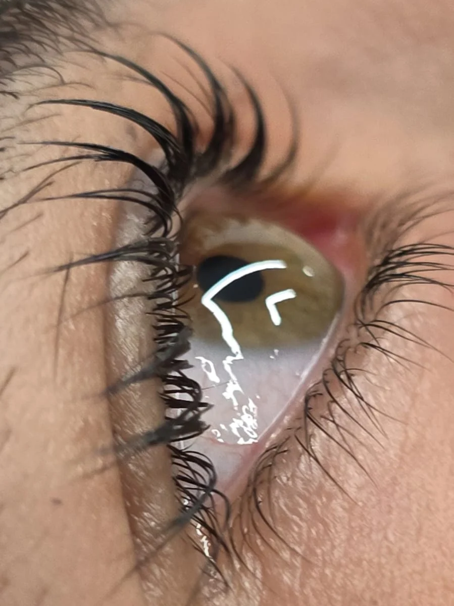 הרמת ריסים וגבות