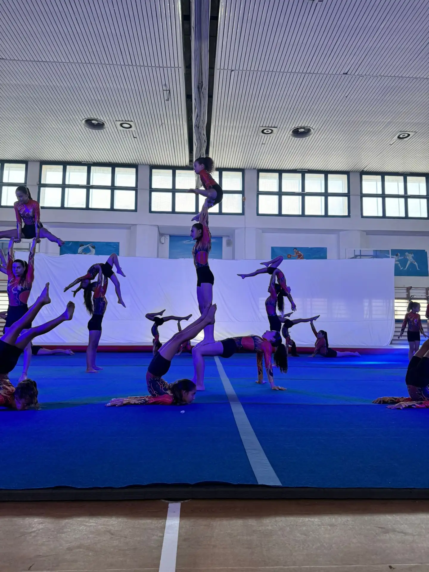 קבוצות הופעות להתעמלות קרקע ואקרובטיקה