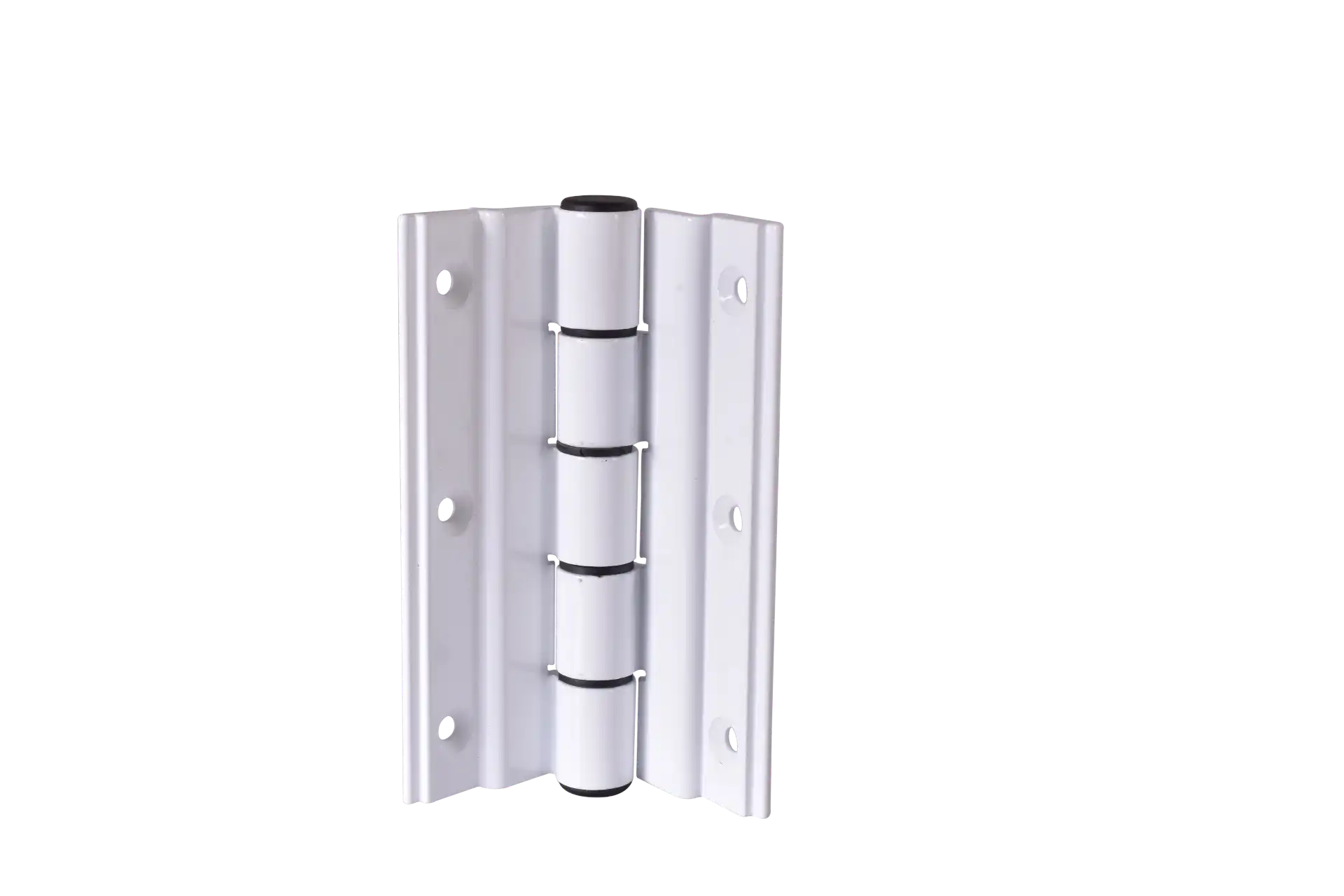 ציר דלת כניסה