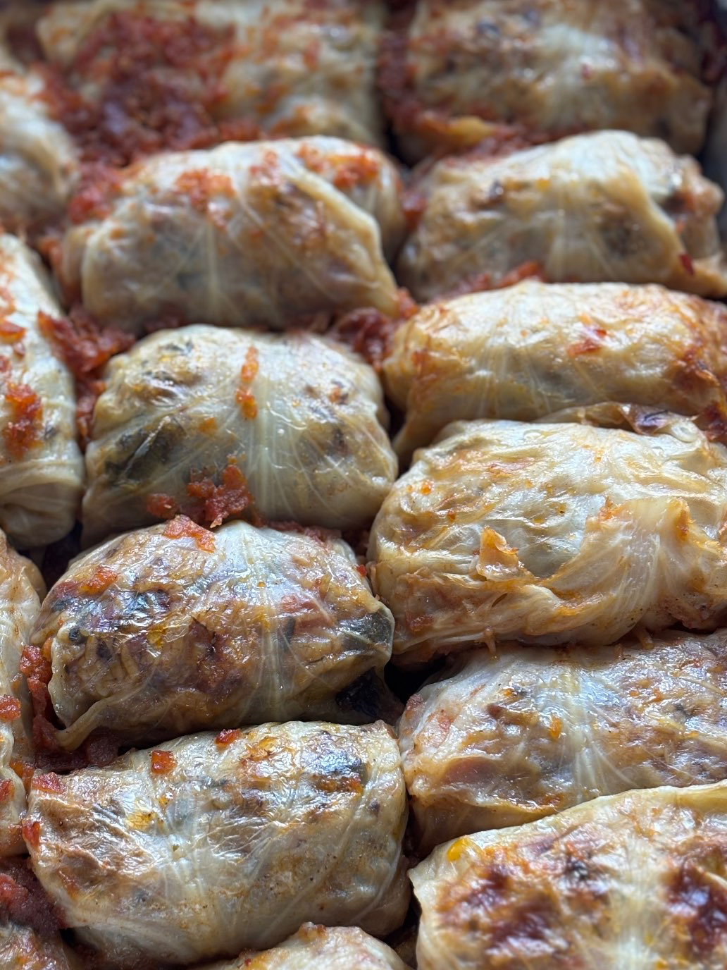 כרוב ממולא צמחוני