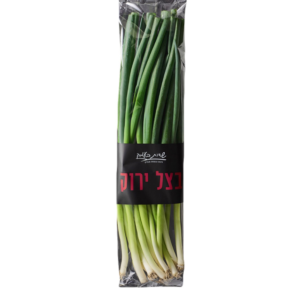 בצל ירוק - 1 יחידה