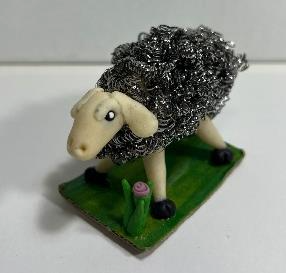 כבשה באחו קהל היעד