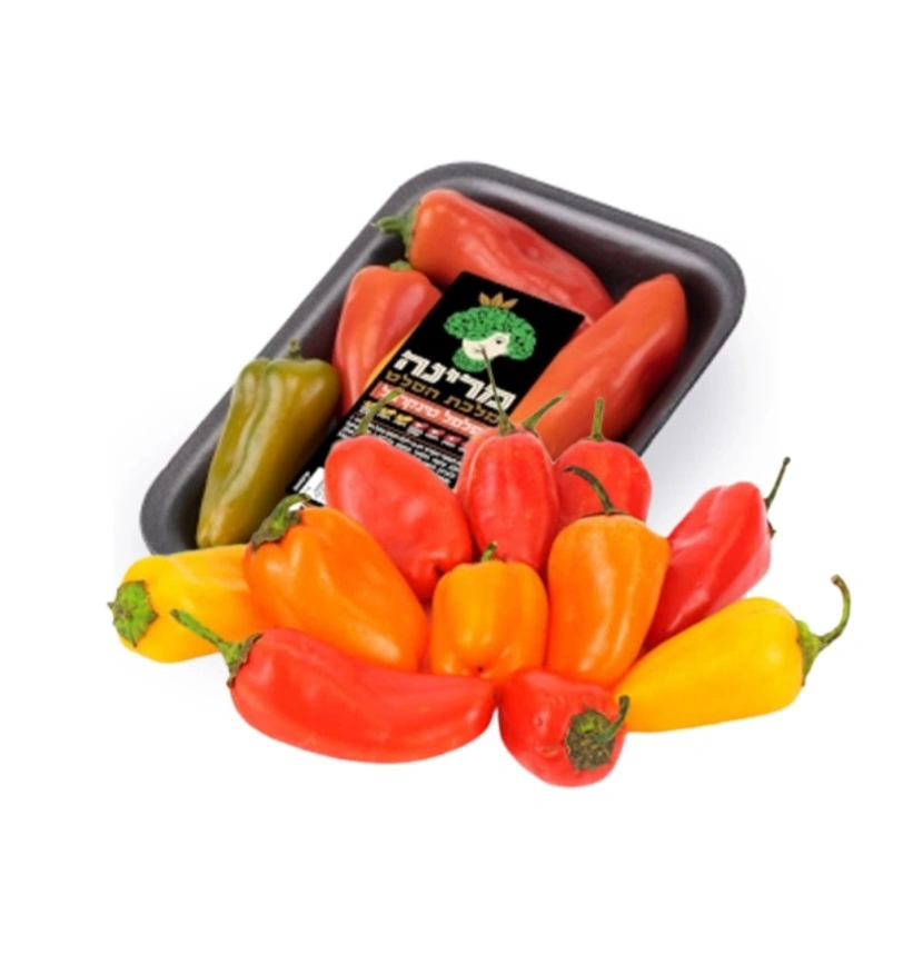 מארז טינקרבל