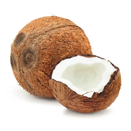 קוקוס - 1 יחידה