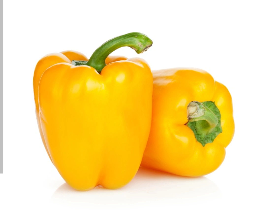פלפל צהוב
