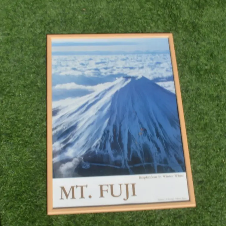 MT. FUJI