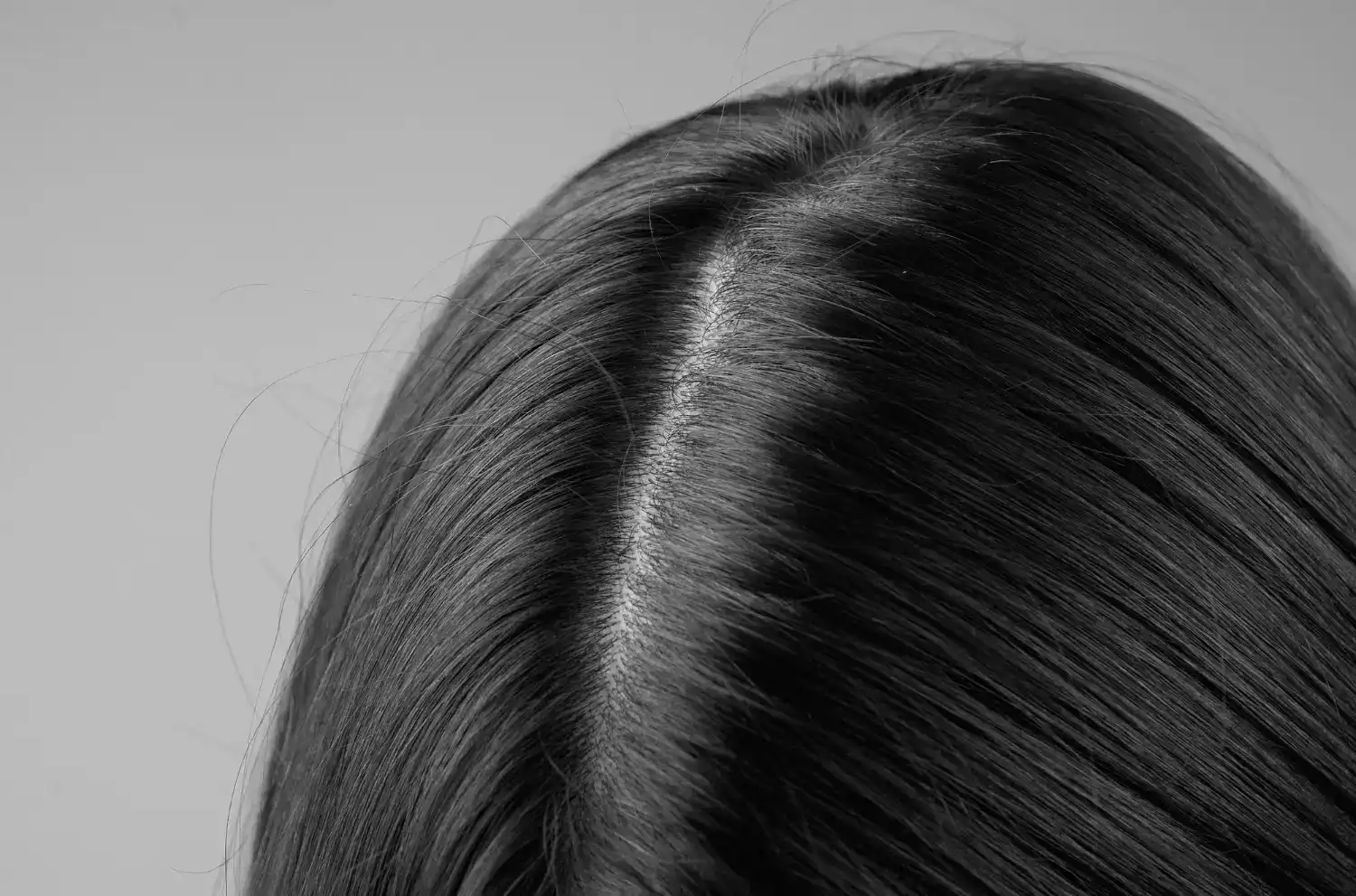 חידוש שורשים