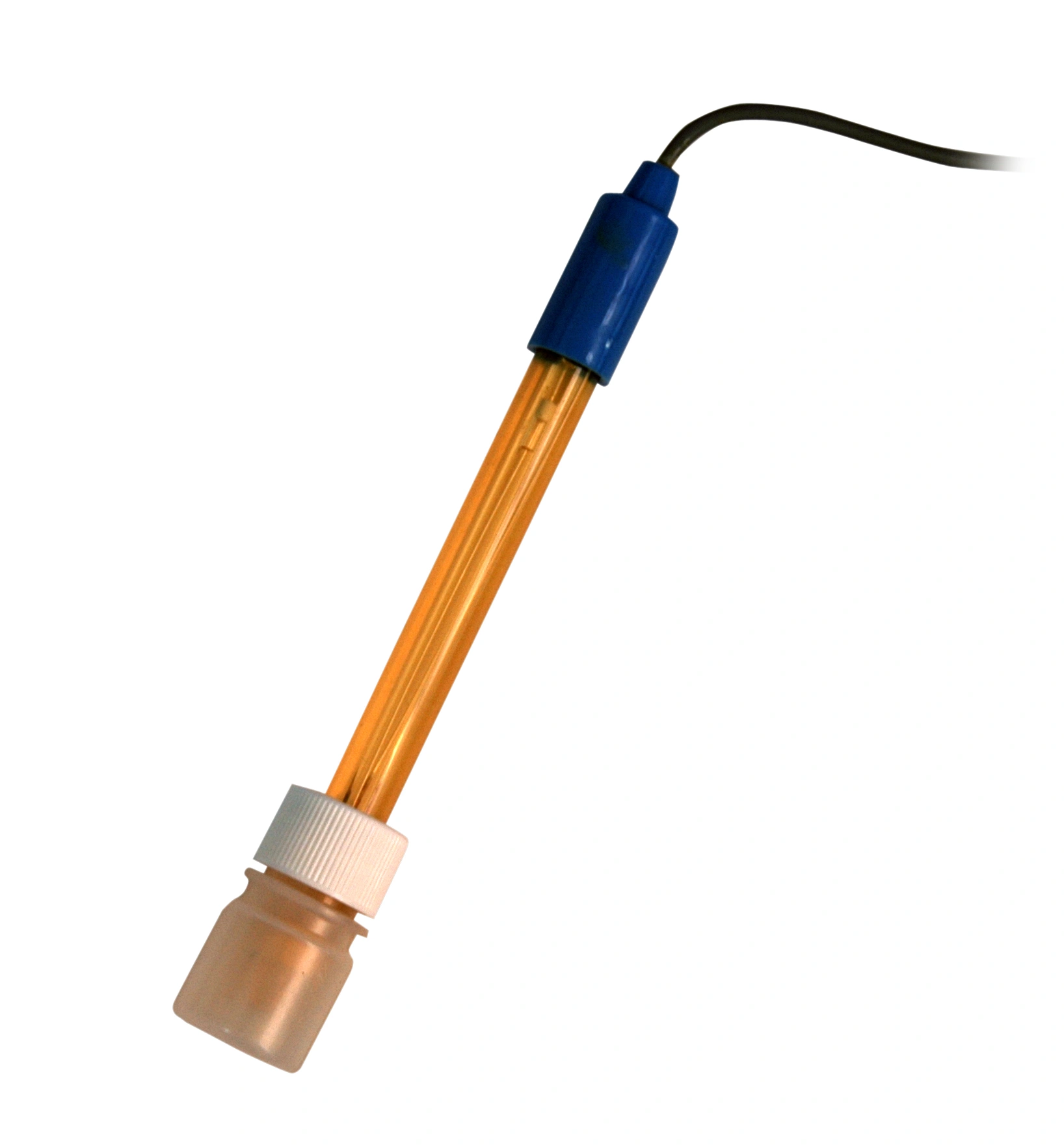 סנסור / רגש PH