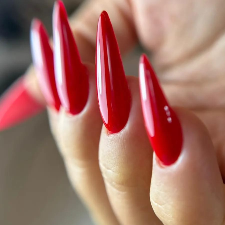 בניה ומבנה אנטומי