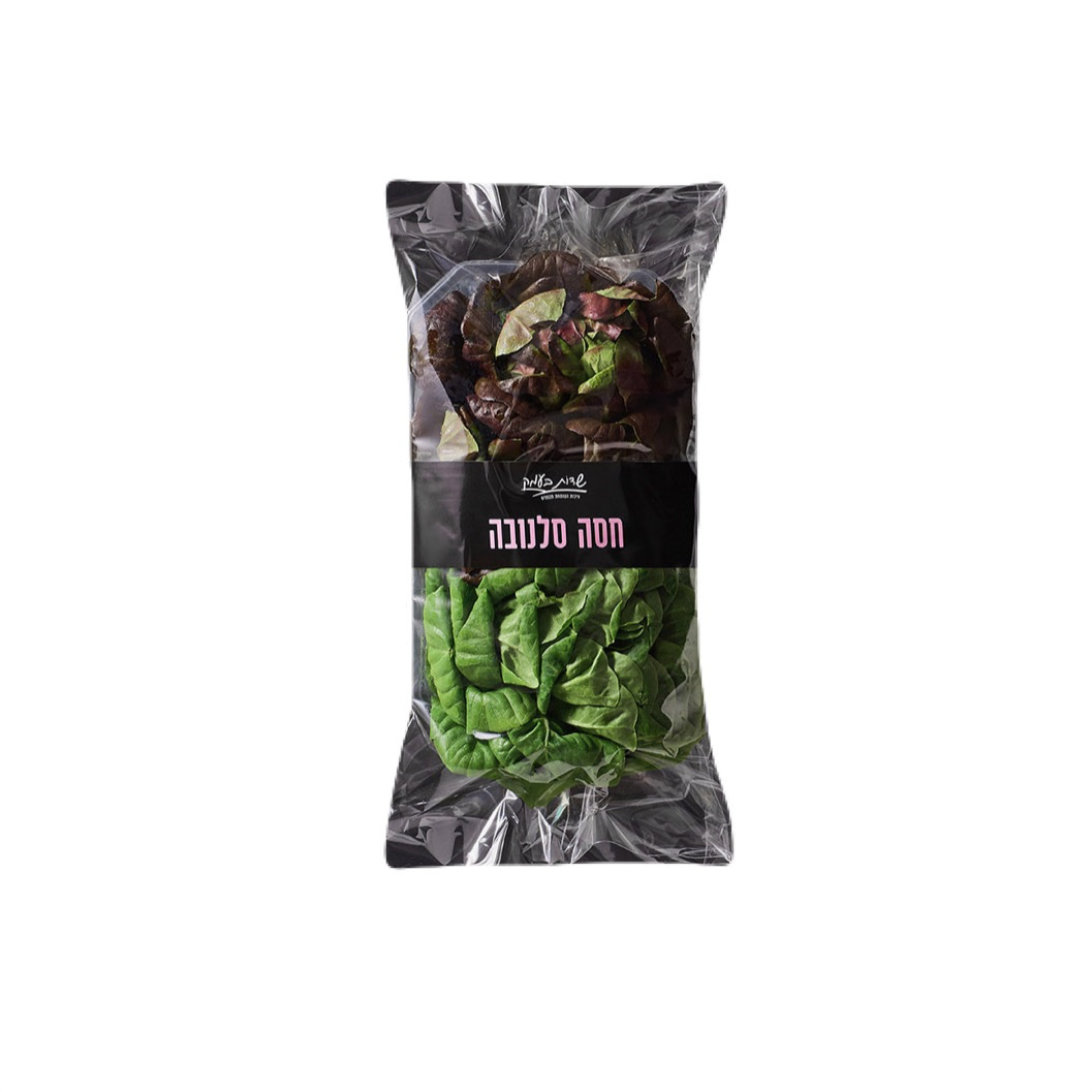 חסה סלנובה  - שדות בעמק