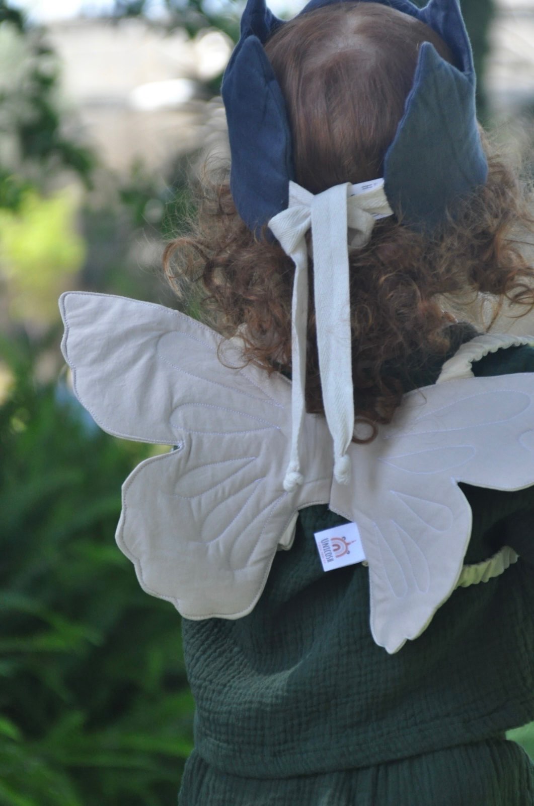 כנפי פיה / פיון בז׳