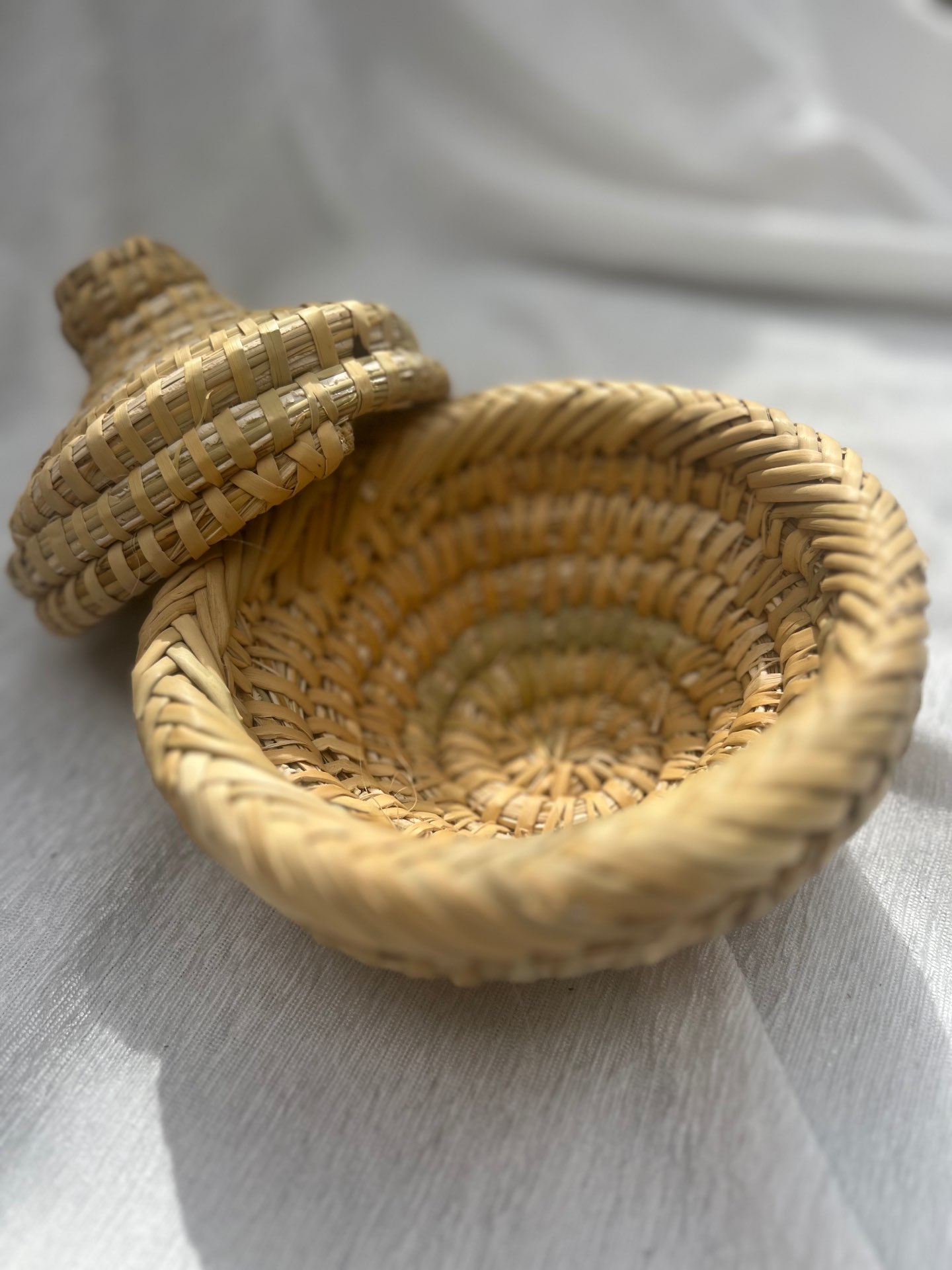 קופסת קש אמילי