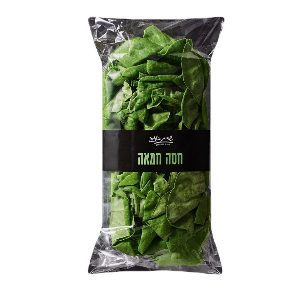 חסה חמאה  - שדות בעמק