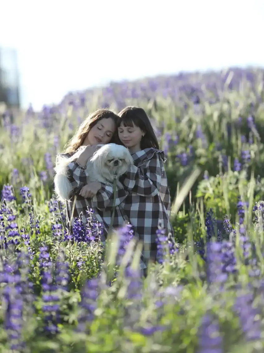 צילומי חוץ טבעיים ומלאי אור ורגש | הרגע שנשאר