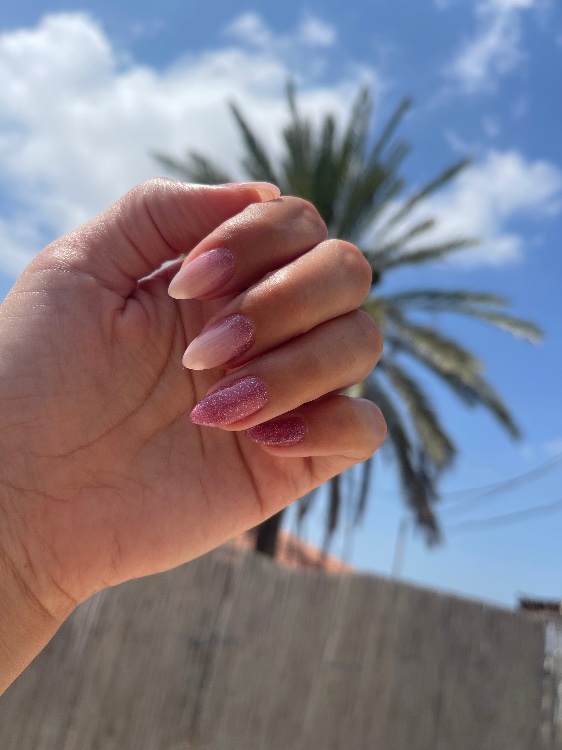 מבנה אנטומי