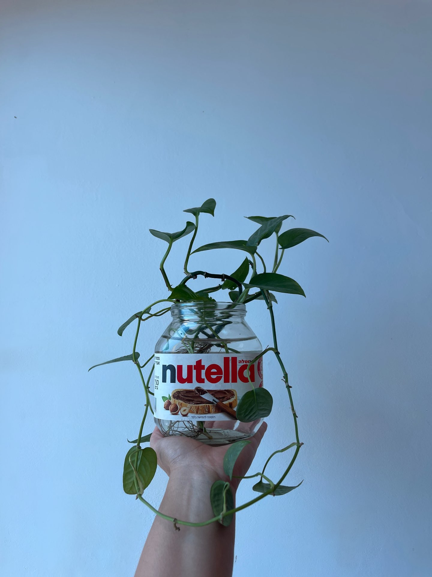 טוויסט מתוק