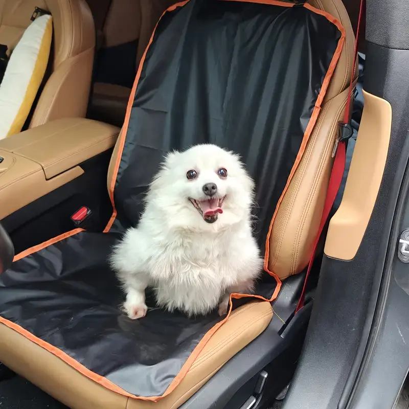 כיסוי כיסא יחיד