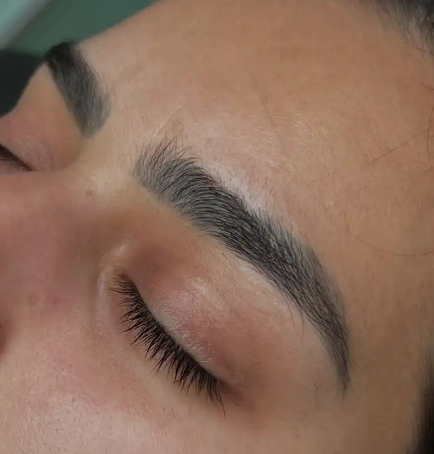 הדמיית שיער בשיטת הפודרה