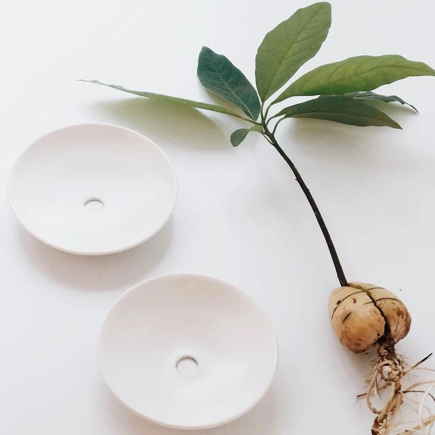 זוג צלחות מנג'ט