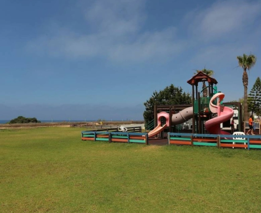 איה נאפה באוגוסט