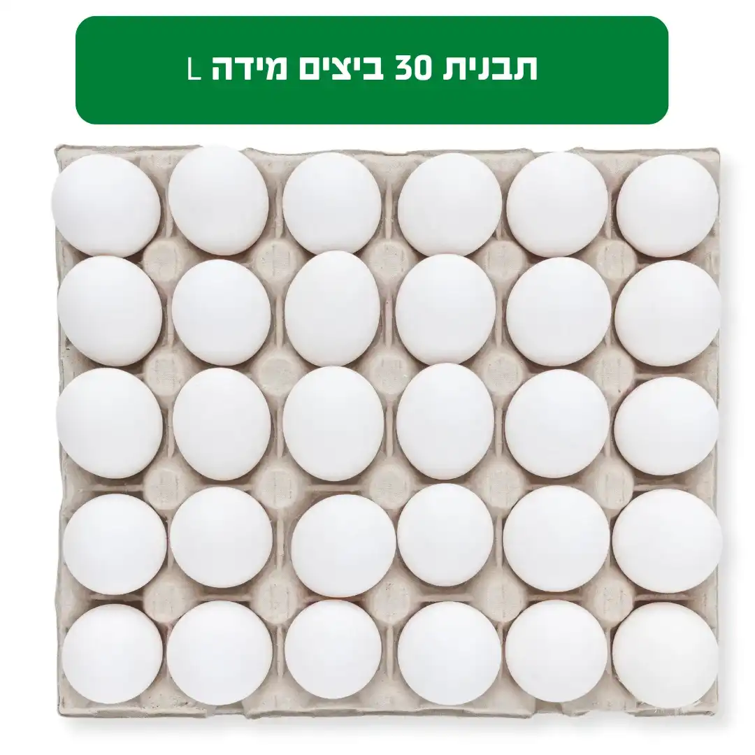 תבנית 30 ביצים L - חלמון כתום דור החקלאים