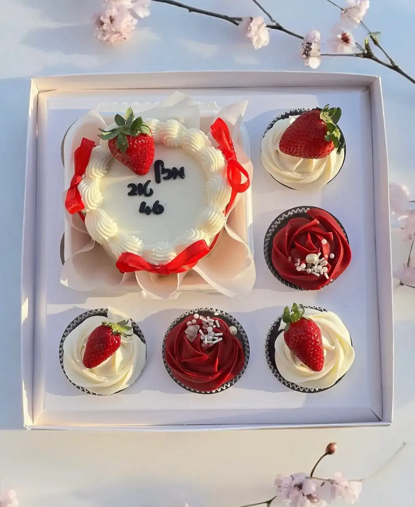 Bento Box | ALIN’S