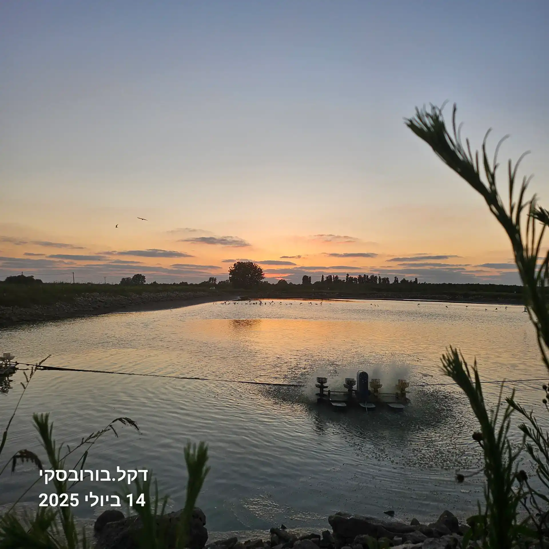 סיור זריחה- שעה וחצי