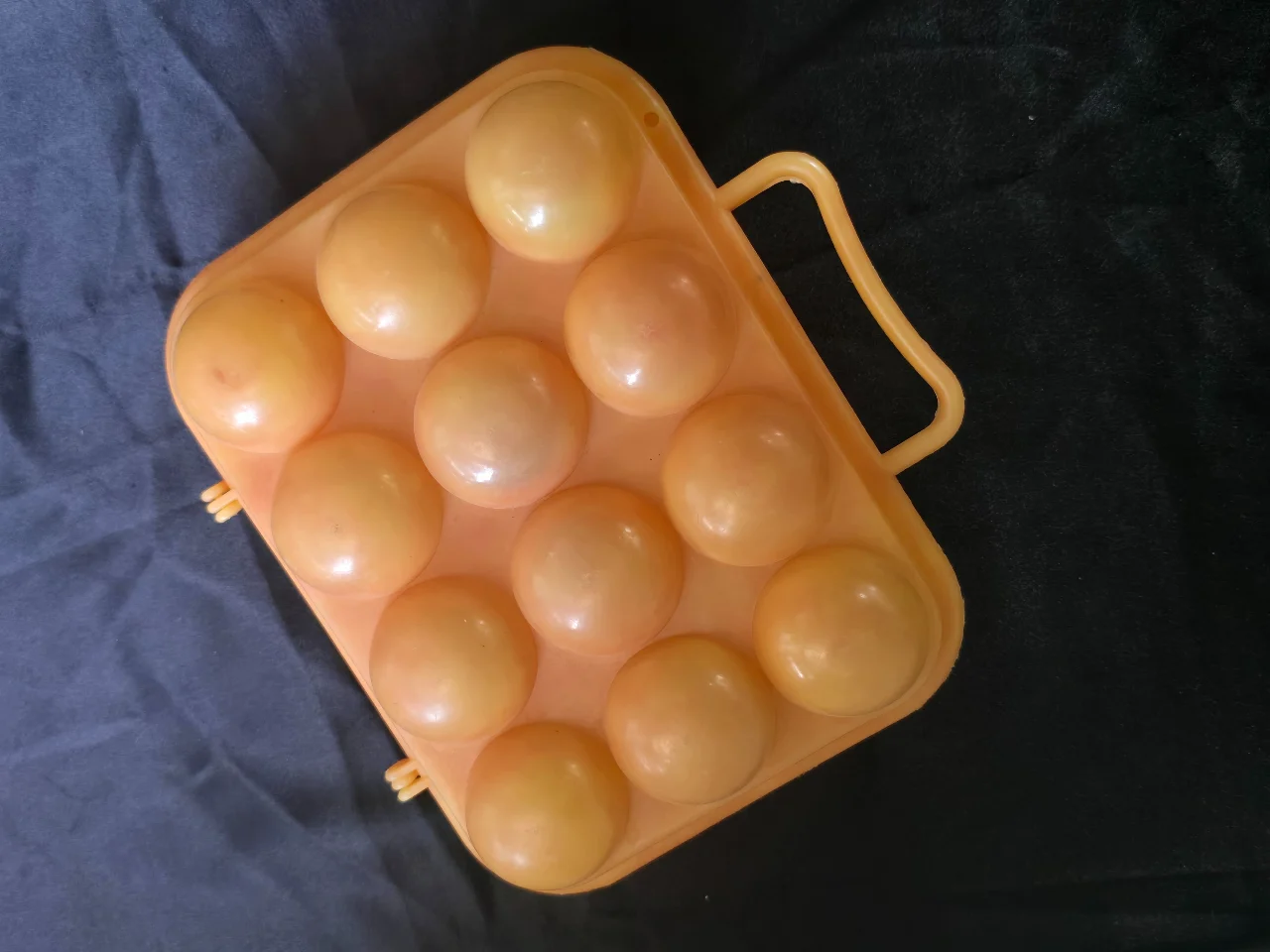 תבנית ביצים ישנה עשויה פלסטיק קשיח לתריסר ביצים טריות