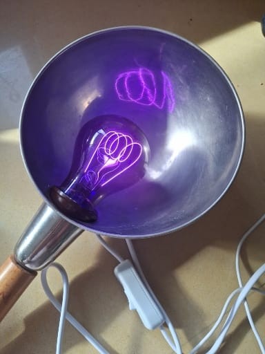 מנורה כחולה רפואית