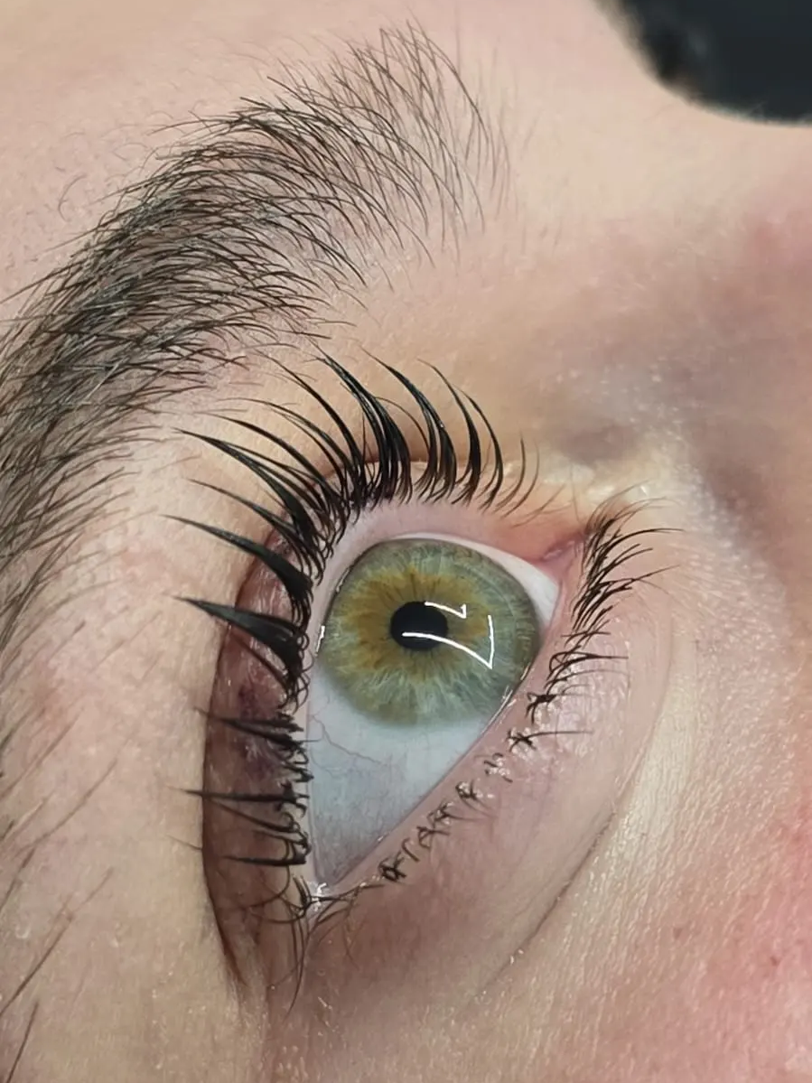 עיצוב גבות ושפם