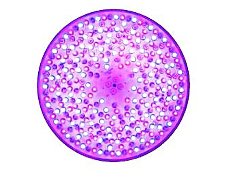 תאורה לבריכה נורת LED לבריכות שחיה PLS700 צבעוני 16 תוכניות