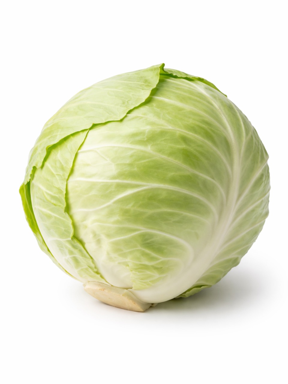 כרוב לבן ישראלי- 1 יחידה