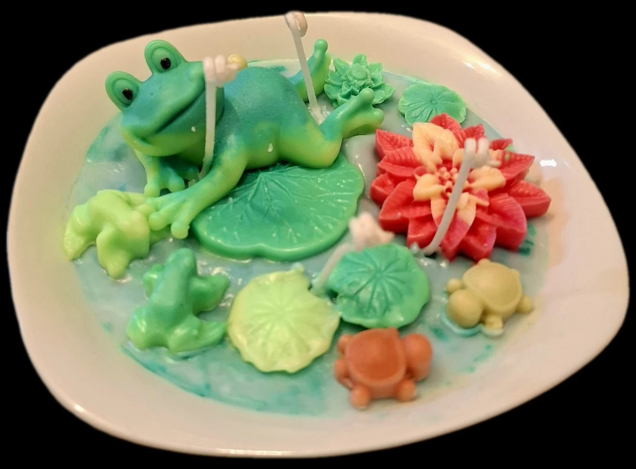 צפרדעים בביצה