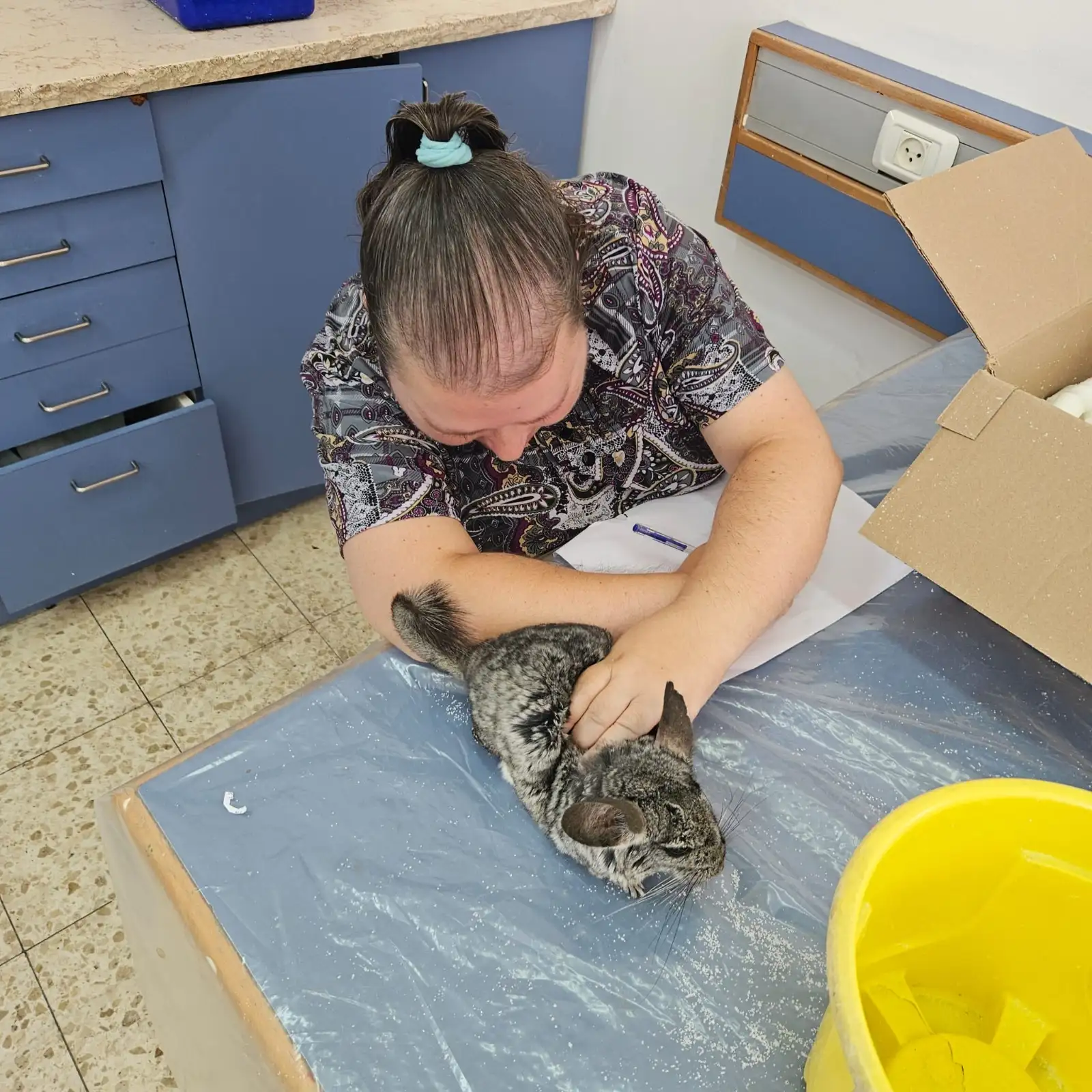 טיפול פרטני בעזרת בעלי חיים