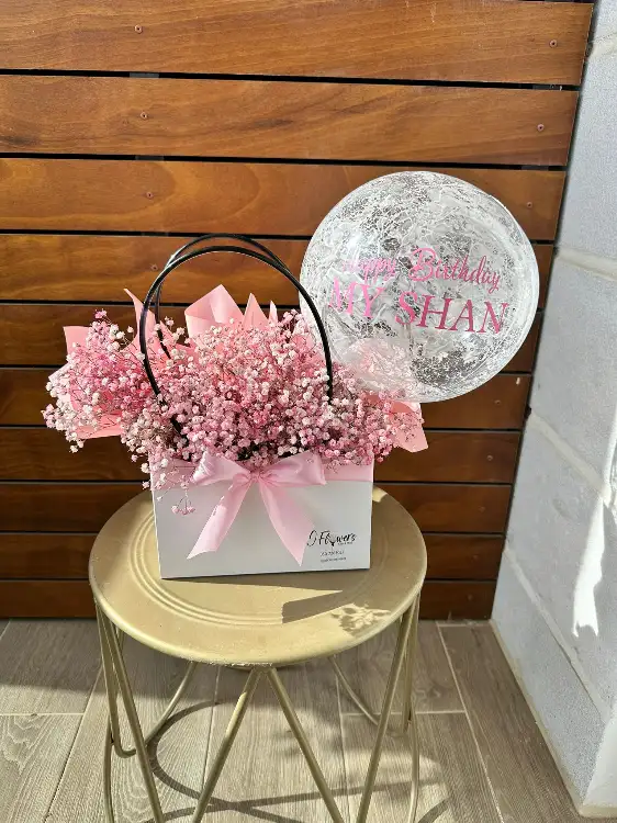 שקית גיפסנית