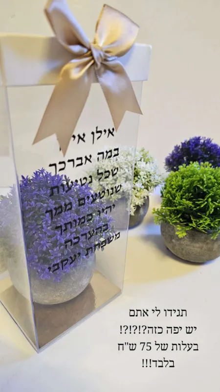 עציץ חרס עם קופסא ממותגת