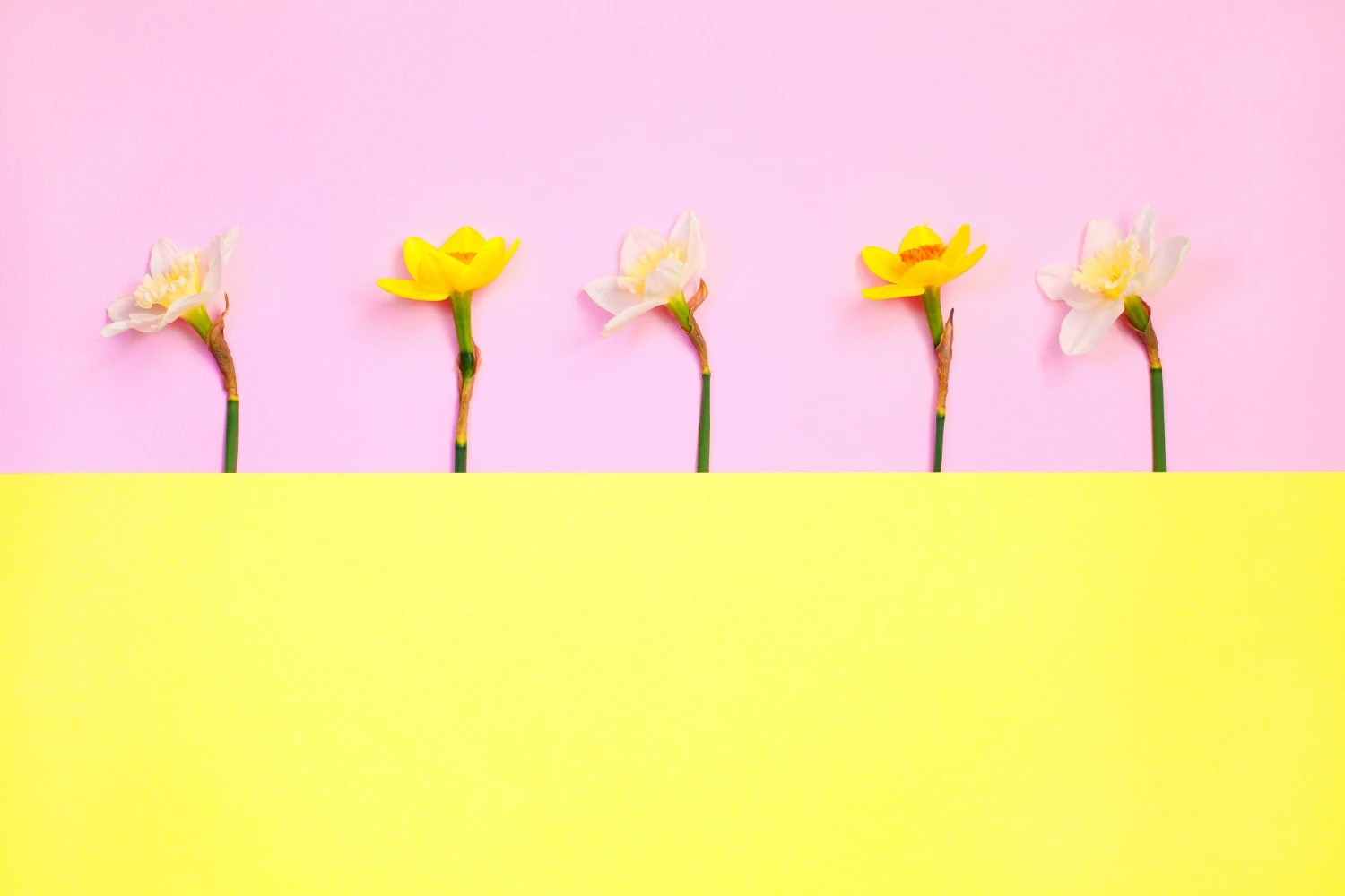 תהליך אישי - להתחבר לאזור הגאונות שלי