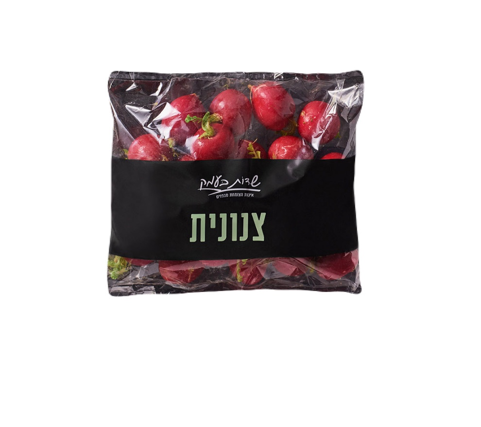 צנונית  - שדות בעמק