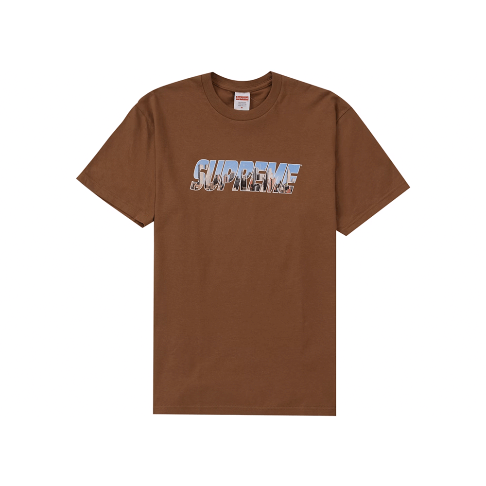 Supreme Gotham Tee Light Brown