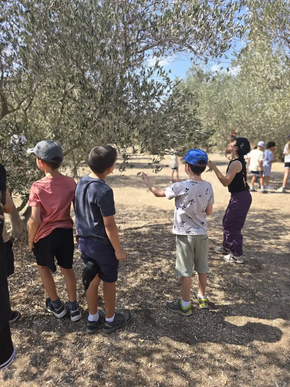 חוגי טבע בבתי ספר
