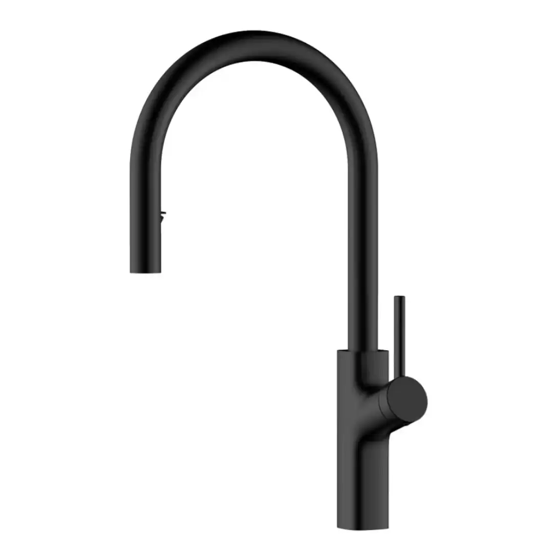 ברז מטבח נשלף שחור 2 מצבי זרימה