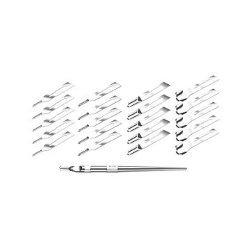 מגוון להבי עור חלולים 20יח כולל מחזיק 1 ללהבים RUCK 2061101