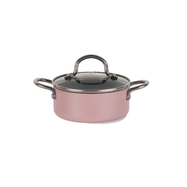  סיר מיני 6*14 ס”מ 0.85 ליטר סדרת Splash ורוד סולתם