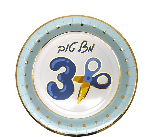 צלחות נייר גדולות מסיבת חלאקה 10 יח’ כ-23 ס"מ