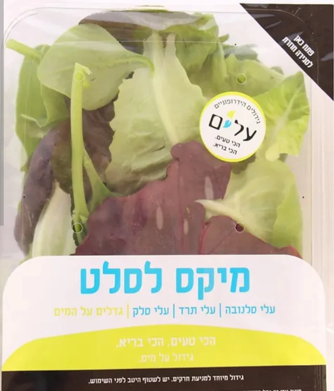 מיקס לסלט