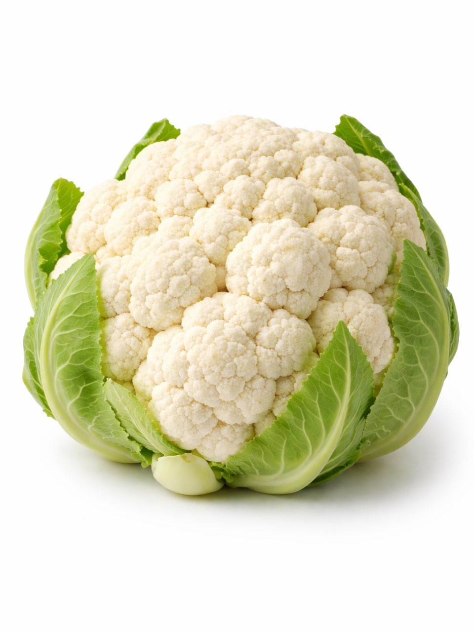 כרובית ישראלית - 1 יחידה